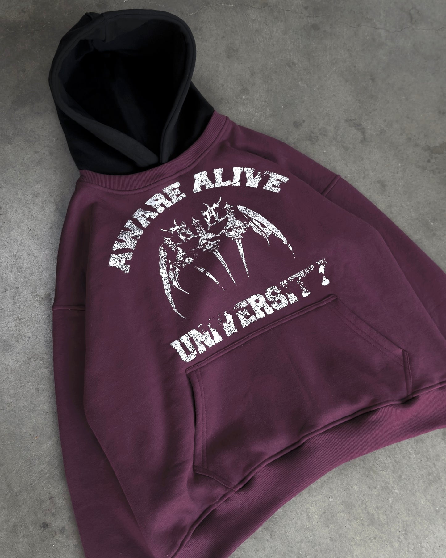 UNIVERSITY HOODIE (RED)